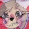 ilovesalemcat